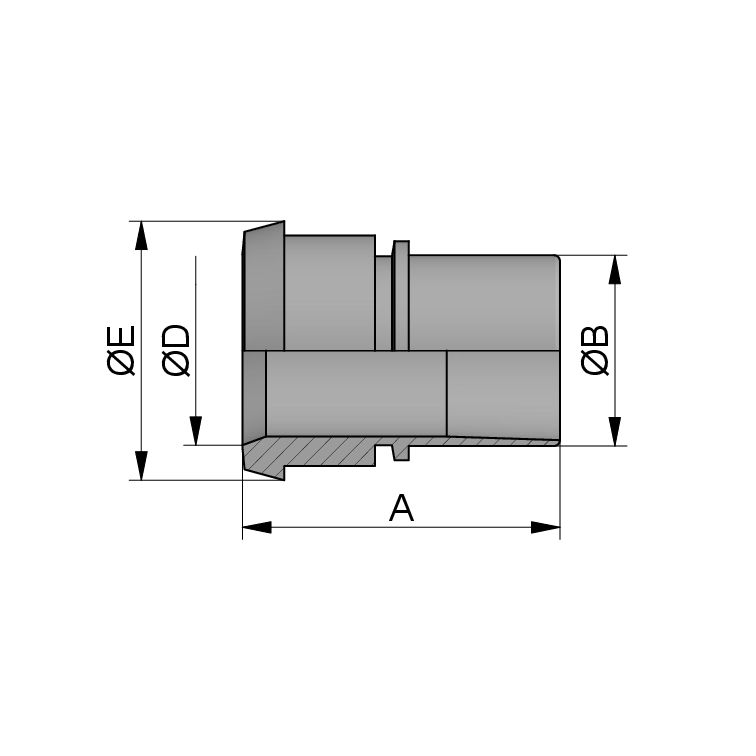 SCHLAUCHKEG.ST.GLATT DN32 316L BL SCHLAUCH ID32