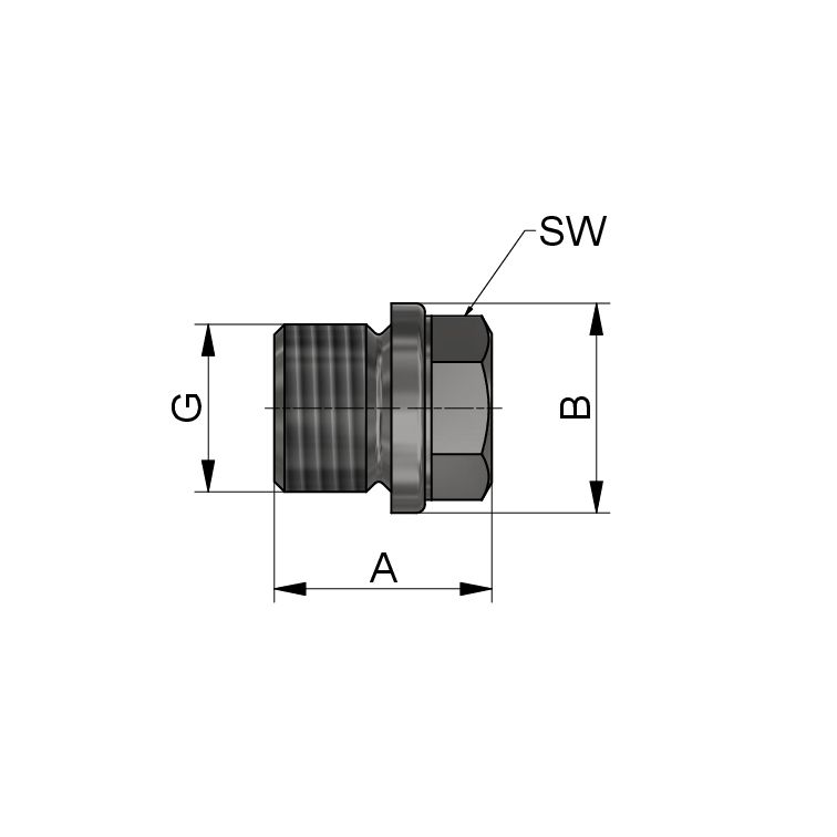 VERSCHLUSSSCHRAUBE G1/2" 316 DIN 910