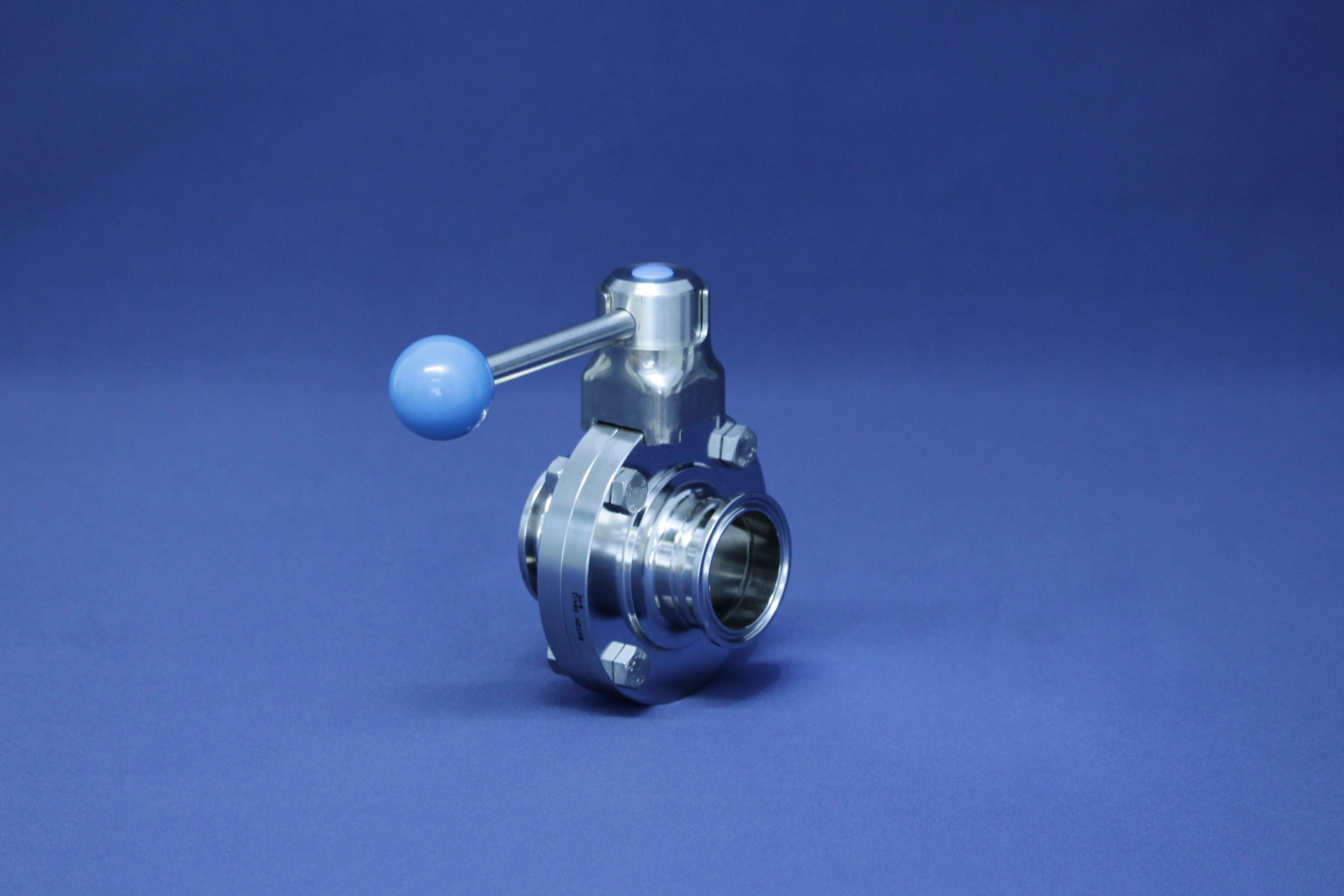 SV CLASSIC CC DN65 316L BL HB-ST EPDM