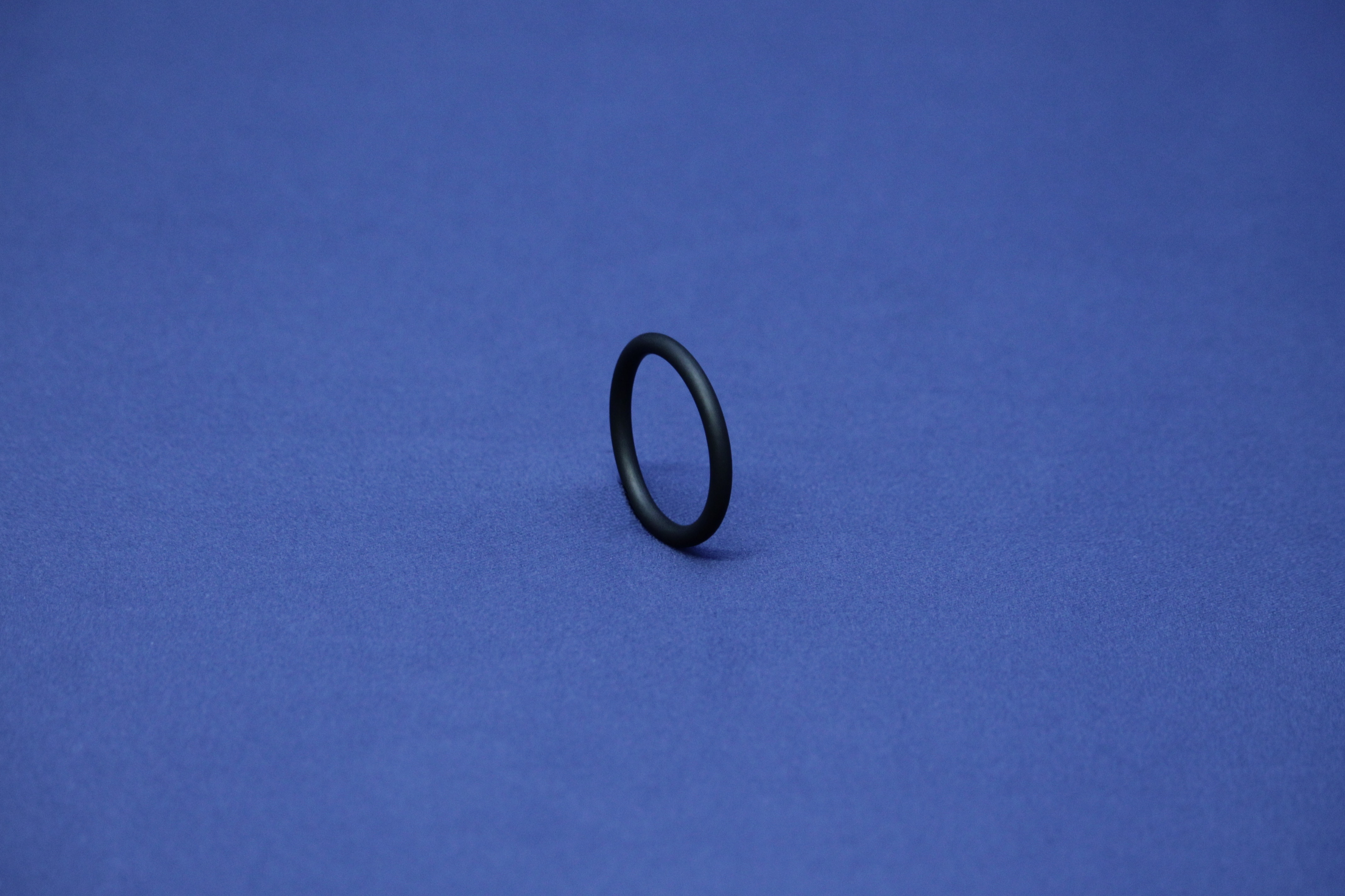 PharmCom-O-RING 4" FKM DIN11864-A FDA