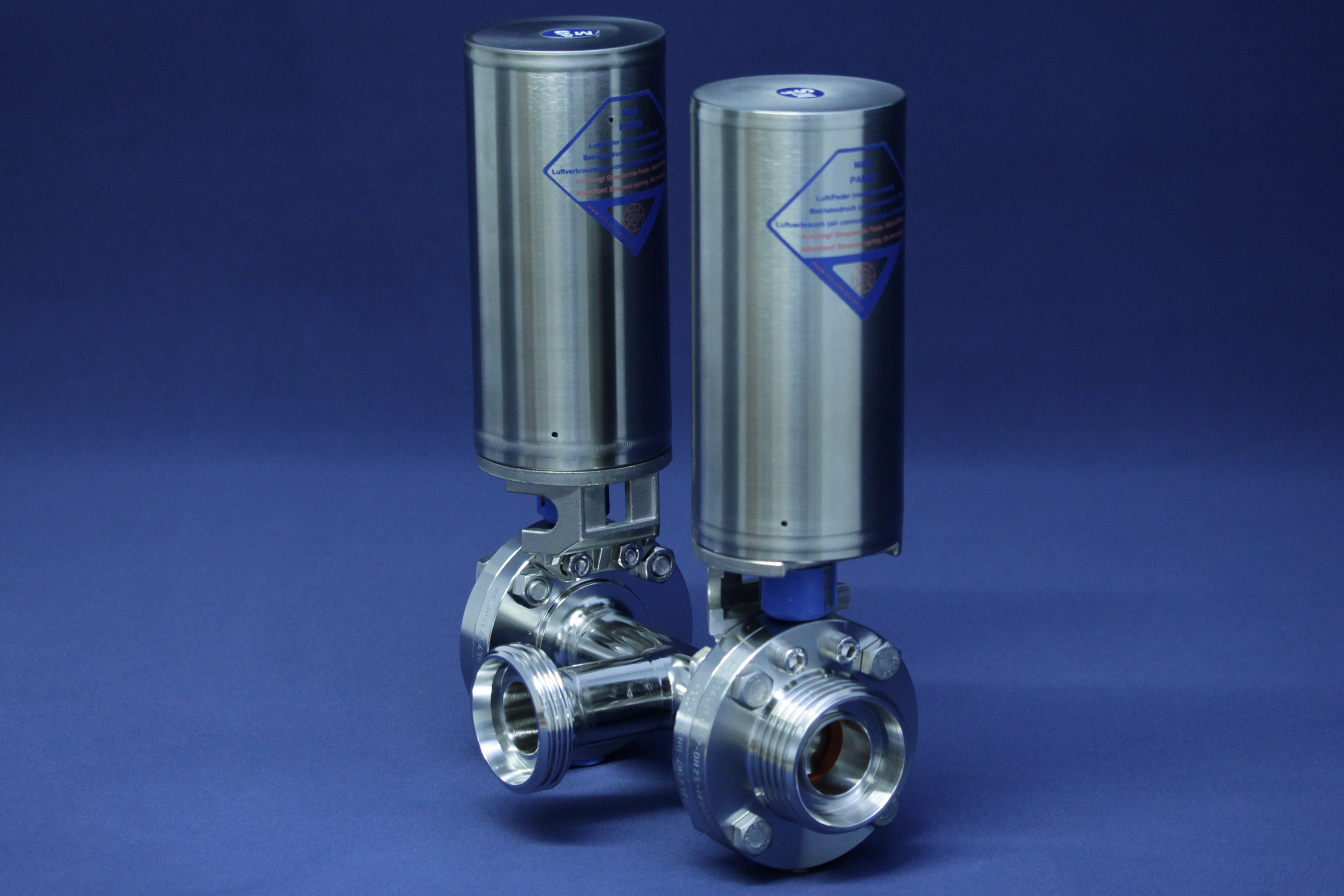 T-SV TYP98/SV04 DD-GGG DN50 304 BL PAMS1 LF  VMQ