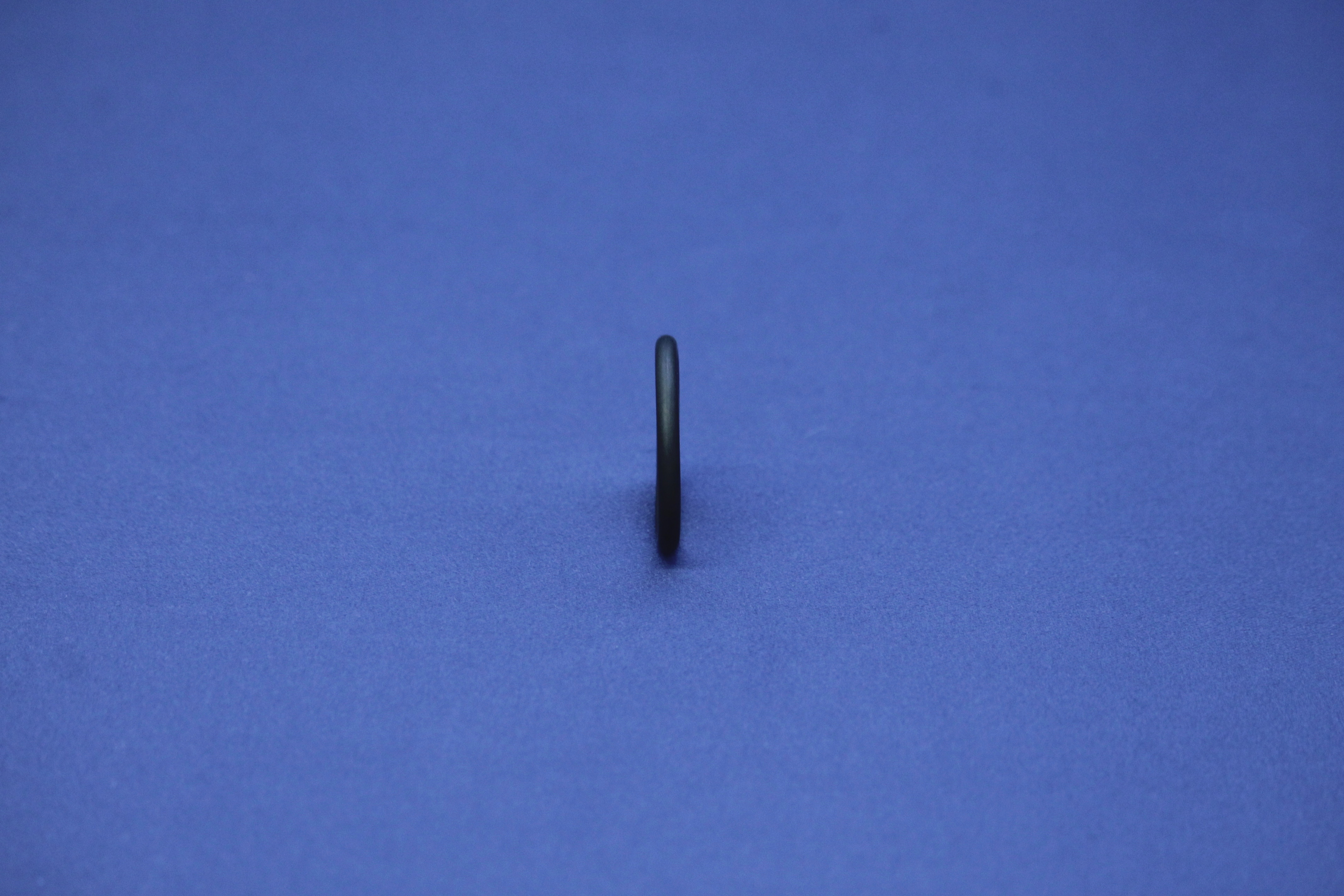 PharmCom-O-RING 4" FKM DIN11864-A FDA