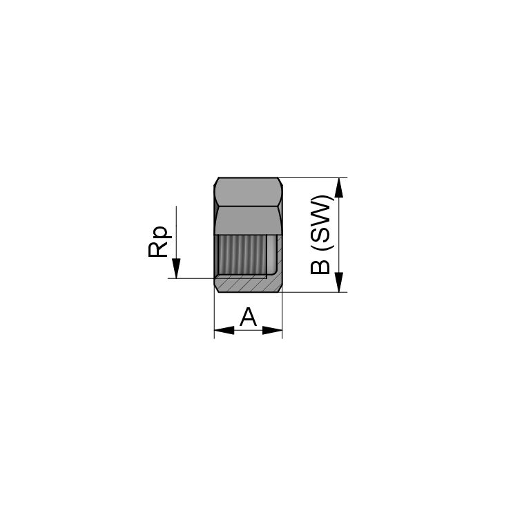 6-KANT KAPPE Rp2.1/2" 316