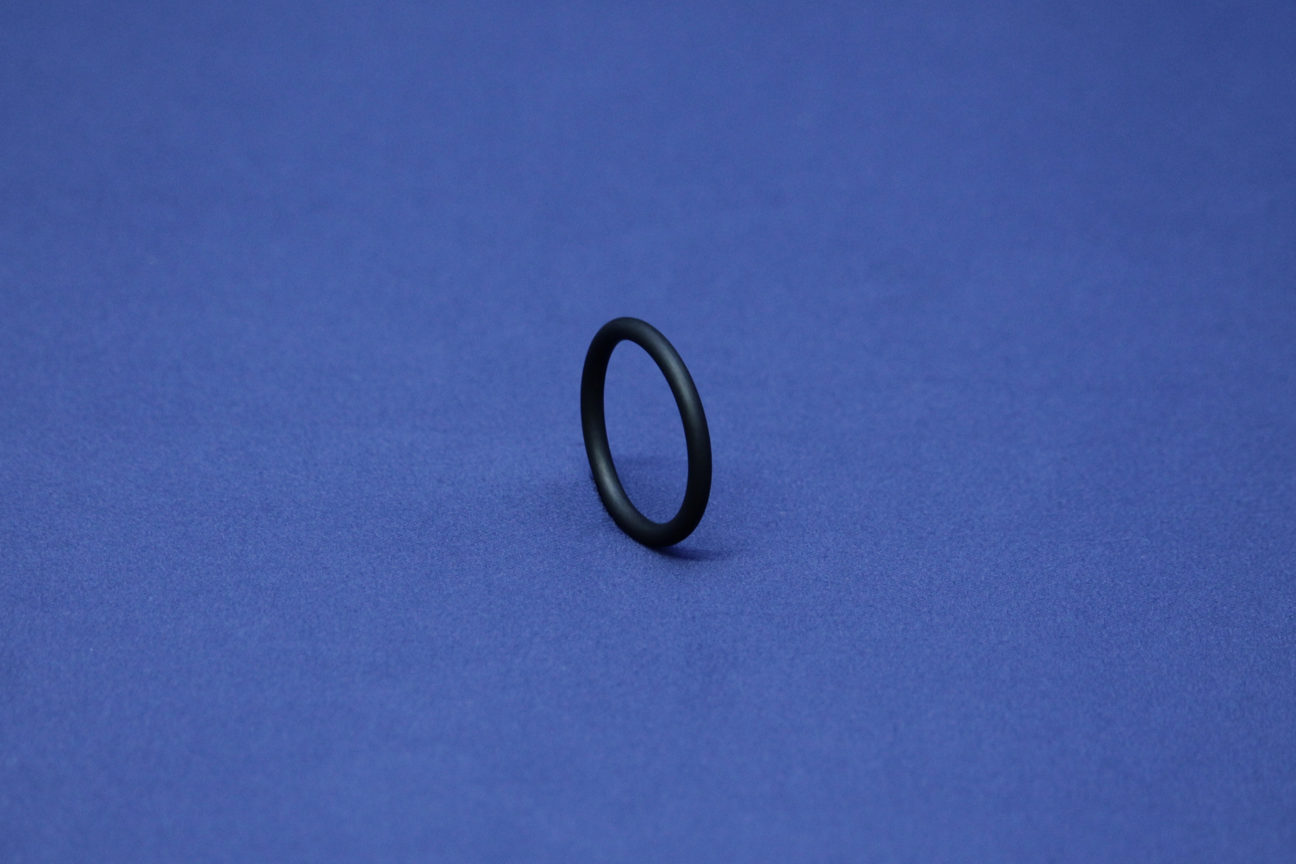 PharmCom-O-RING 48,3 EPDM DIN11864-A FDA