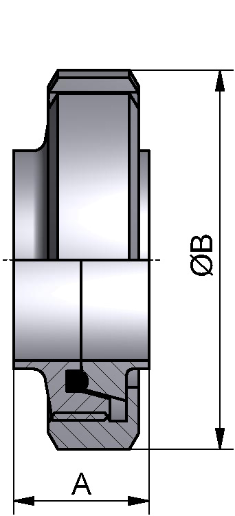 VERSCHRAUBUNG SK DIN11851 DN25 304/304L BL EPDM 29x1,5
