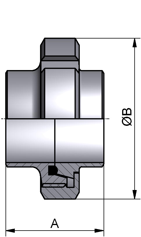 VERSCHRAUBUNG S DN25 316L BL NUTM. 304 EPDM WIRD IN EINZELTEILEN GELIEFERT