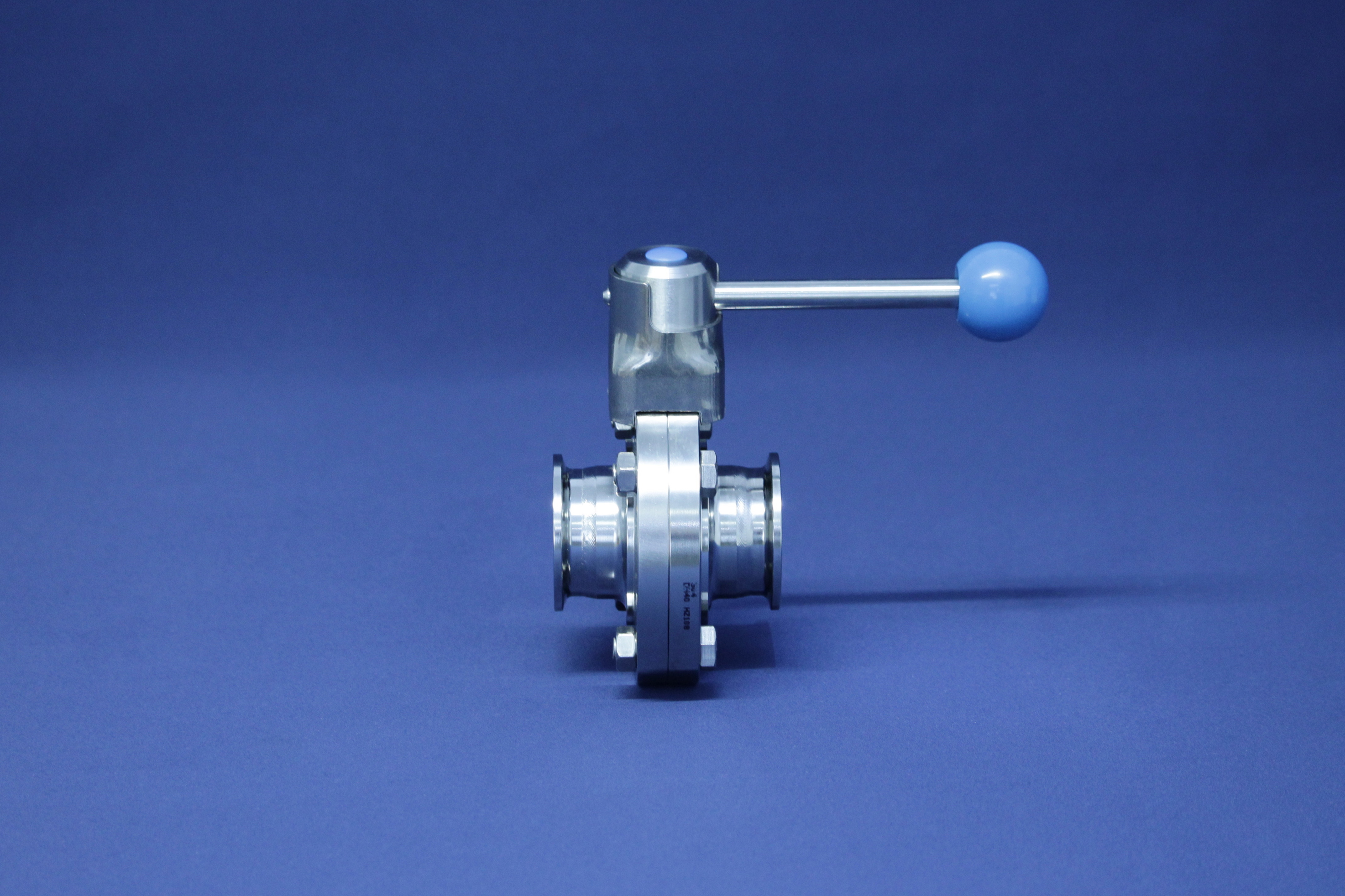 SV CLASSIC CC DN65 316L BL HB-ST EPDM