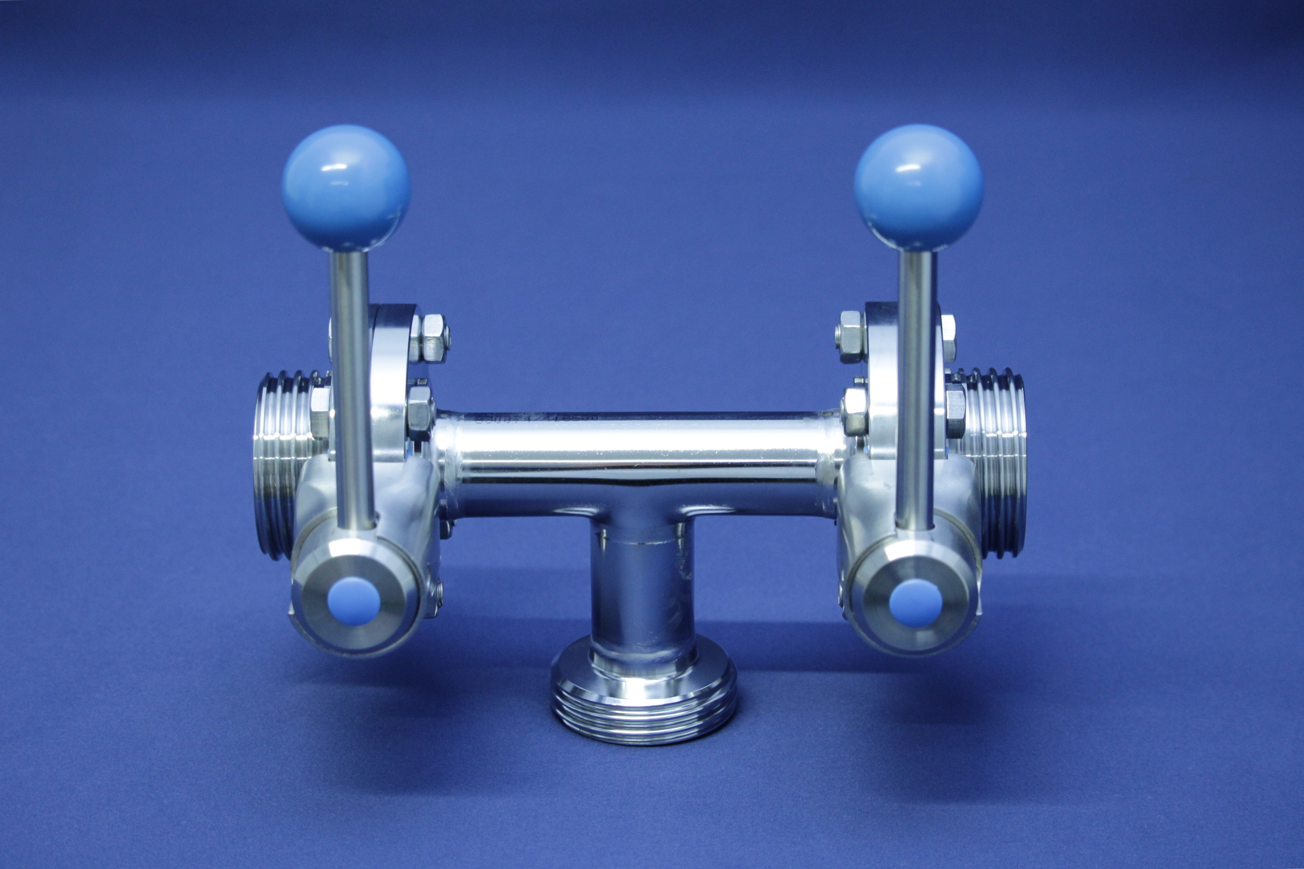 T-SV TYP98/SV04 DD-GGG DN50 304 BL HB-ST VMQ