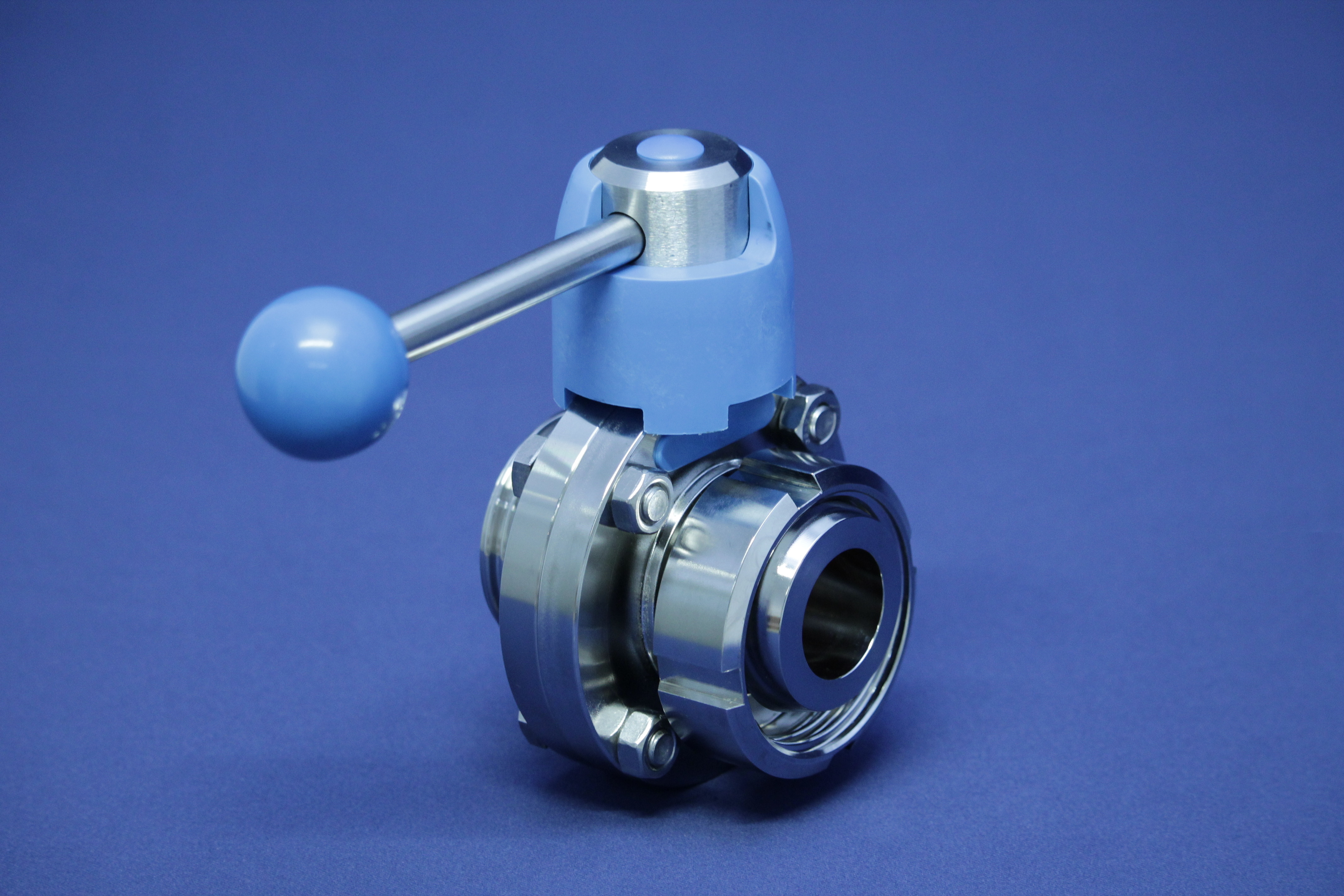 SCHEIBENVENTIL SV04 GK DN65 316L BL HB04 EPDM