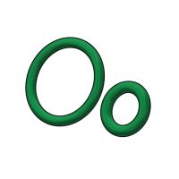 DICHT.SATZ PROBENAHMEV.DN15-40 FKM MIT O-RING